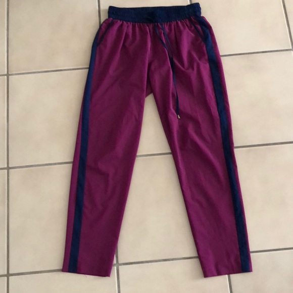Naked Zebra Pants - Naked zebra jogger